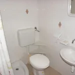 Kuce * Sušica